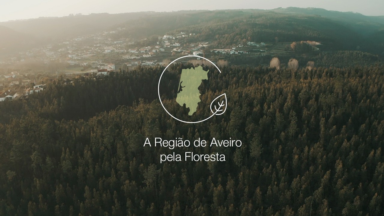 Valorização Florestal - CIRA - LOBA.cx